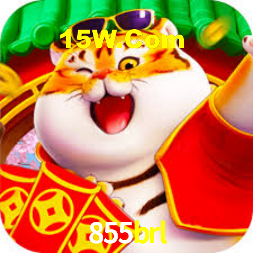 Premium Interface 855brl